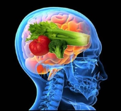 brain-food